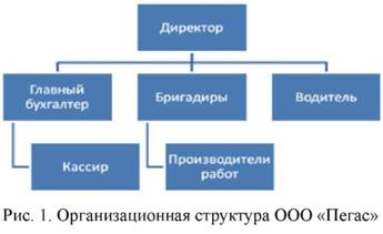 Организационная структура ООО Пегас